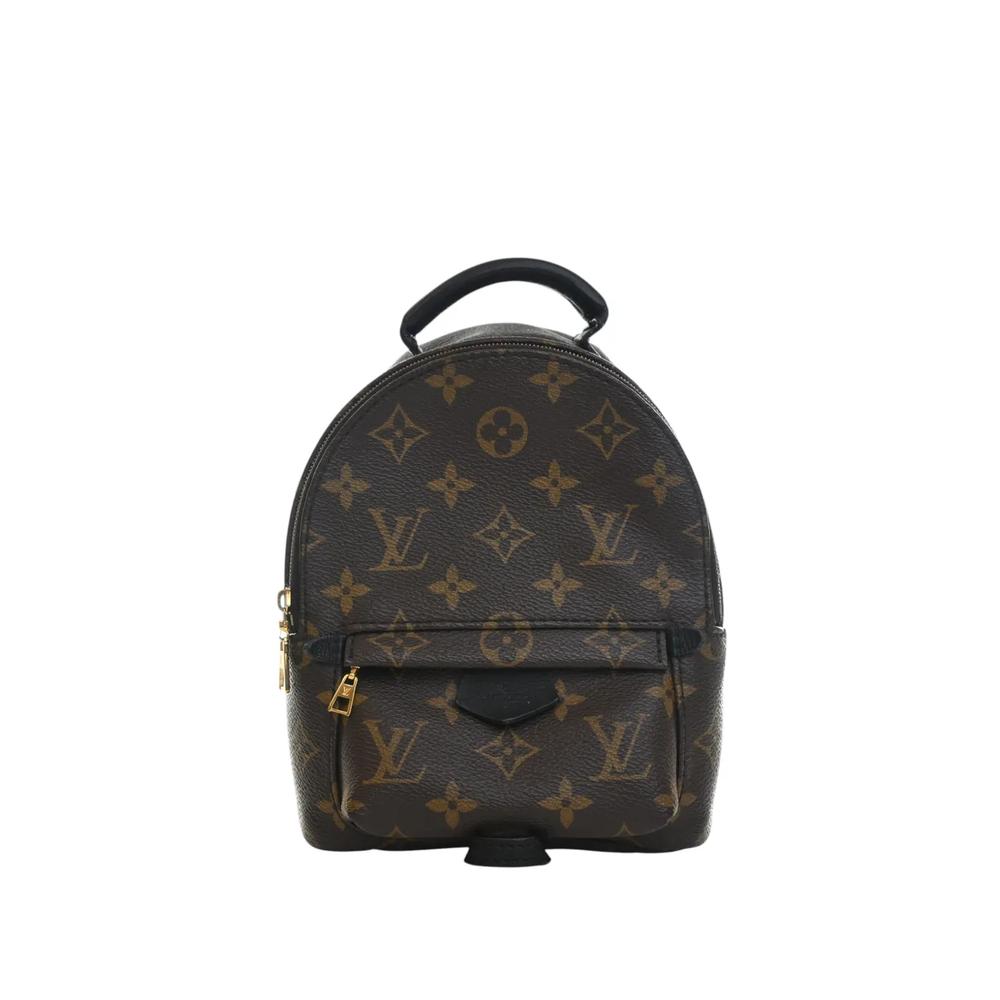 Мини-рюкзак Monogram Palm Springs (2021-2026 годы) 1