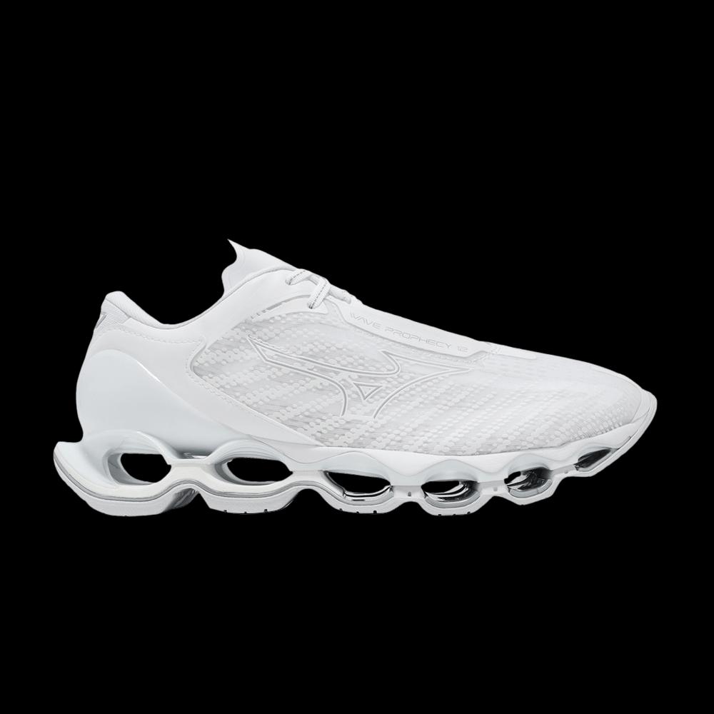 Кроссовки Mizuno Wave Prophecy 12 'White Silver' 1