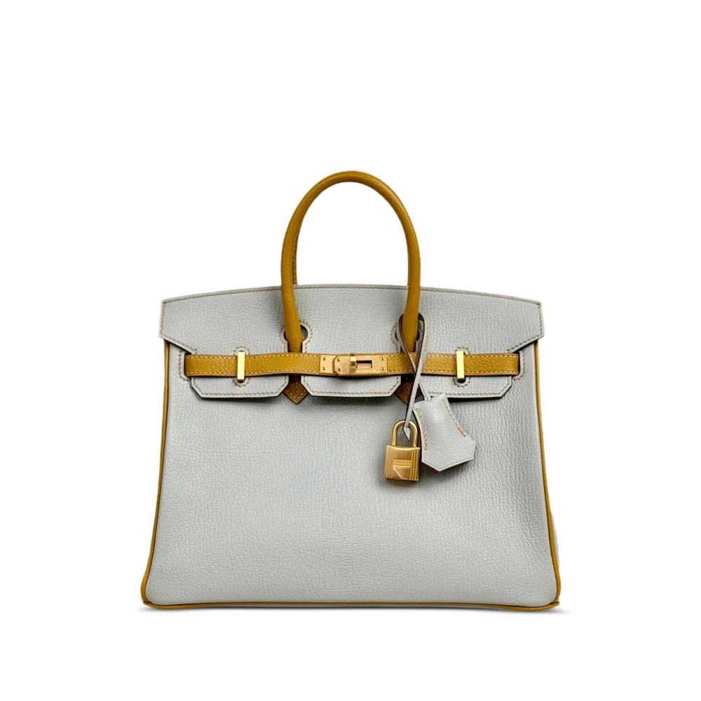 Сумка Birkin 25 Chèvre Mysore (2019 год) 1