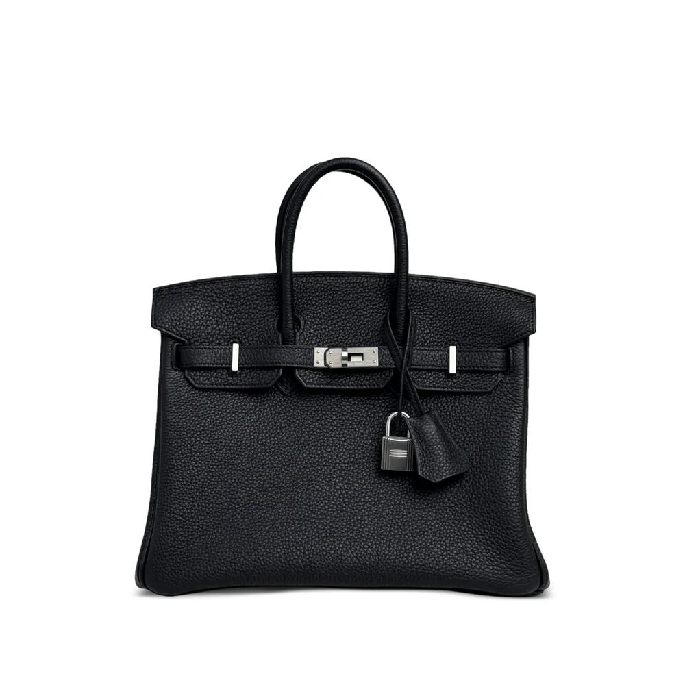 Сумка Birkin 25 (2025 год) 1