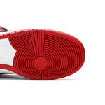 Кроссовки Nike Dunk Low SB 'J-Pack Chicago' 5
