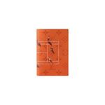 Путешествия Louis Vuitton Passport Cover 'Теннис Глина Монограмма Канвас' 1