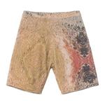 Шорты Stussy Wings Print Knit Short 'Multi' 1