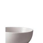 Салат Terra / миска для рамена 2
