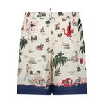 Шорты Aloha Souvenir 2