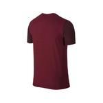 Футболка LeBron James Dri-Fit 2