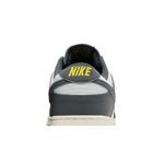 Кроссовки Nike Dunk Low Next Nature 'Iron Grey Lightning' 7
