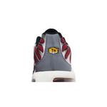 Кроссовки Nike Air Max Plus 'Team Red Cool Grey' 7