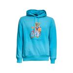 Худи Polo Bear 1