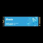 Biwin M560 1TB PCIe 5.0 NVMe M.2 SSD 1