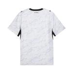 Джерси Puma New Zealand Away Kit 'Puma White-Silver Mist' 2