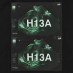 Футболки Hood By Air Long-Sleeve Tee 'Black' 3