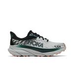 Кроссовки HOKA Wmns Challenger ATR 7 'Harbor Mist Spruce' 1