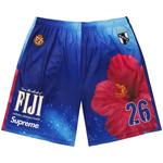 Шорты Supreme x Fiji Short 'Multicolor' 1