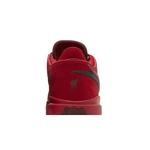 Кроссовки Liverpool F.C. x Nike LeBron 20 7