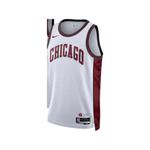 Топ Swingman Chicago Bulls из джерси 2