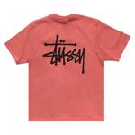 Футболки с коротким рукавом Stussy Basic StüSsy Tee 'Clay' 2