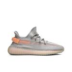Кроссовки adidas Yeezy Boost 350 V2 'True Form' 1