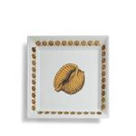 Тарелка Giro di Conchiglie 1