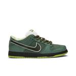 Кроссовки Concepts x Nike Dunk Low SB «Green Lobster» Special Box 1
