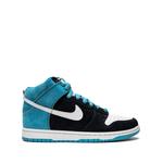 Кроссовки Dunk High Pro 1