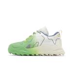 Кроссовки Off-White ODSY-1000 'White Green Spray Paint' 3