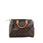 Сумка-сэтчел Speedy Handbag Monogram Canvas 30 1