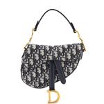 Saddle Handbag Oblique Canvas Mini shoulder bag 1