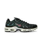 Кроссовки Nike Air Max Plus 'Anthracite Hasta' 1