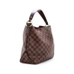 Сумка-хобо Delightful NM Handbag Damier PM 2