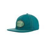 Кепки Brain Dead Bugs Lyfe 6 Panel Cap 'Бирюзовый' 1