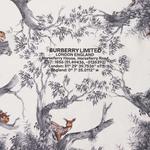 Шарфы Burberry Montage Silk Scarf 'Light Walnut' 2