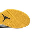 Кроссовки Air Jordan Why Not Zer0.1 'Michigan' 5