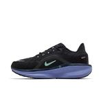 Кроссовки Nike Winflo 11 GORE-TEX 'Black/World Indigo/Obsidian/Cannon' 3