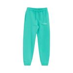 Штаны Air Jordan x Union MJ Fleece Pants 'Kinetic Green/Coconut Milk' 1