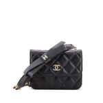 Стеганый клатч Bow Strap Card Holder on Chain Quilted Lambskin 1
