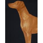 dog-print silk scarf 3