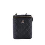Маленькая сумка на плечо Vertical Classic Vanity Case with Chain Quilted Caviar 1
