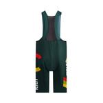 Шорты Kith For Cinelli Bibshort 'Стадион' 2