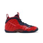 Кроссовки Nike Little Posite Pro GS 'USA' 2