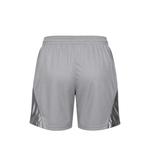 Шорты Dri-FIT ISoFly 2