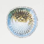 Футболки Supreme Blowfish Tee 'White' 3