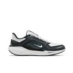 Кроссовки Nike Air Zoom Pegasus 41 GORE-TEX 'Iron Grey Summit White' 1