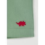 Mint Boys 100% хлопок вышитые тканые шорты и бермуды Tkdss25Sr00017 2