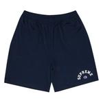 Шорты Supreme x Champion Mesh Short 'Navy' 1