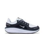 Кроссовки Nike Air Winflo 11 GORE-TEX 'Anthracite' 1