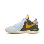 Кроссовки Nike Zoom LeBron NXXT Gen 'Blue Tint' 3