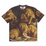 Футболки Supreme Lion's Den Short-Sleeve Top 'Multicolor' 1