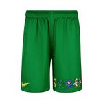 Шорты Nike x Class Trip x Grateful Ducks Mesh 'Green' 1