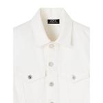 Dion denim jacket 2